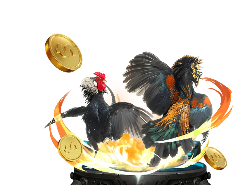 Các loại kèo đá gà tại 188BET Hip Hop